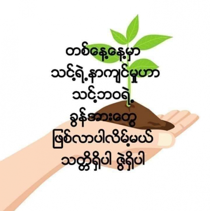 Moe Htet