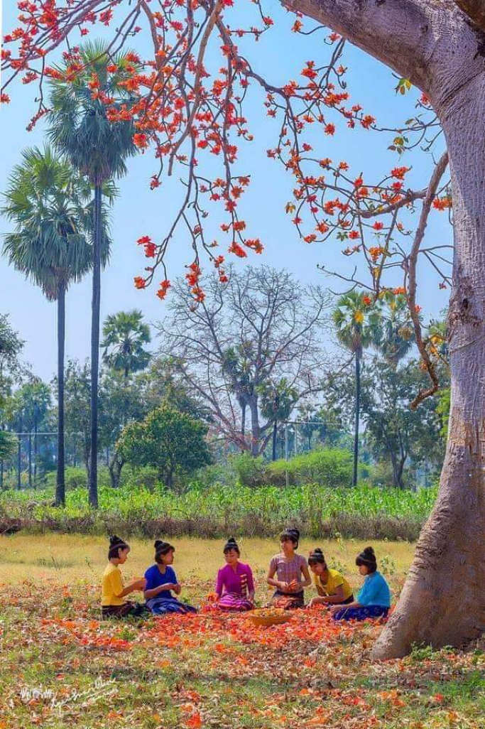 မောင် ကောင်းခန့်ဇော်