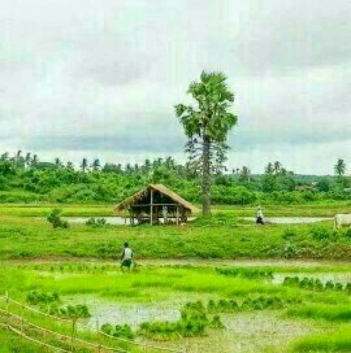 ဦးဦးသာယာဝတီ