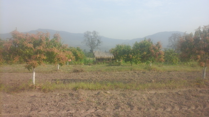 ကိုမင်းဝေ