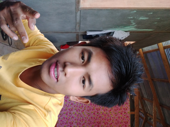 တောပုန်းကြီးရွှေစွန်ညို