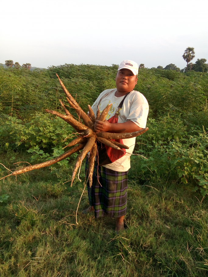 ခိုင်မင်းဦး