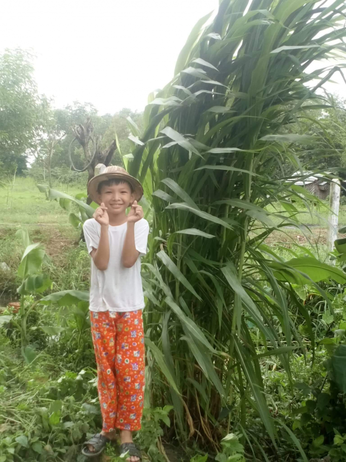 ထူးထူး​အောင် သဘာဝစိုက်ပျိုး​ရေး
