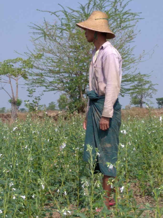kyaw zin