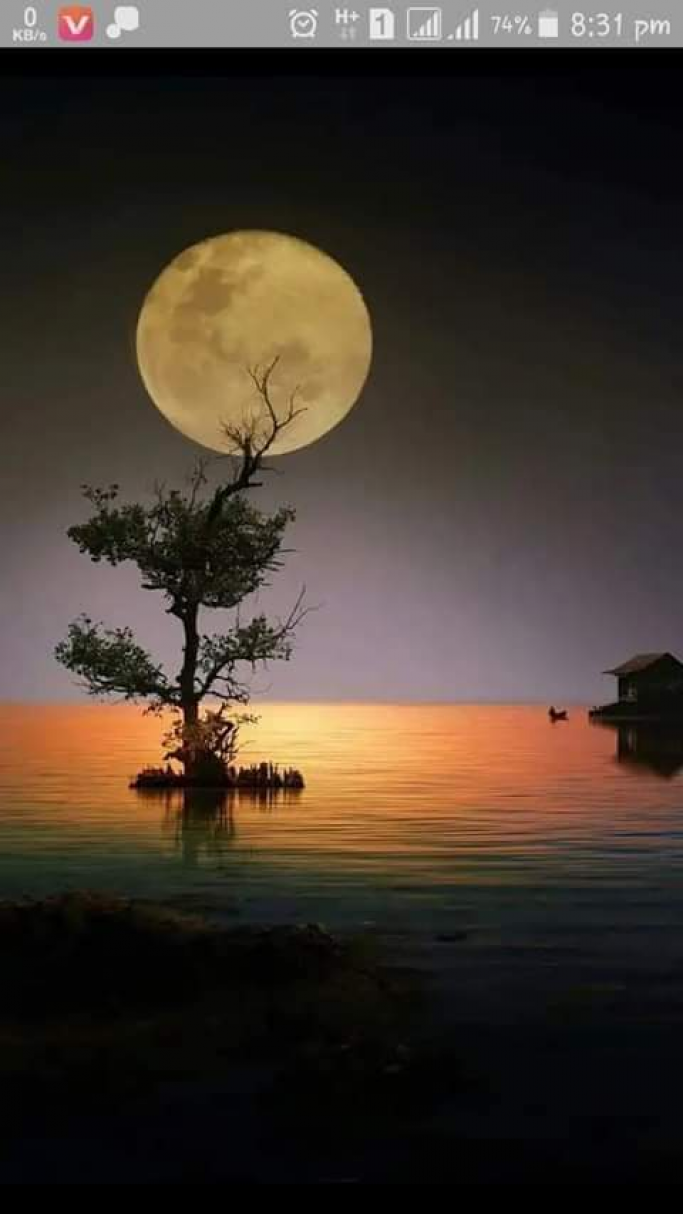 သိန်းတိုးအောင်