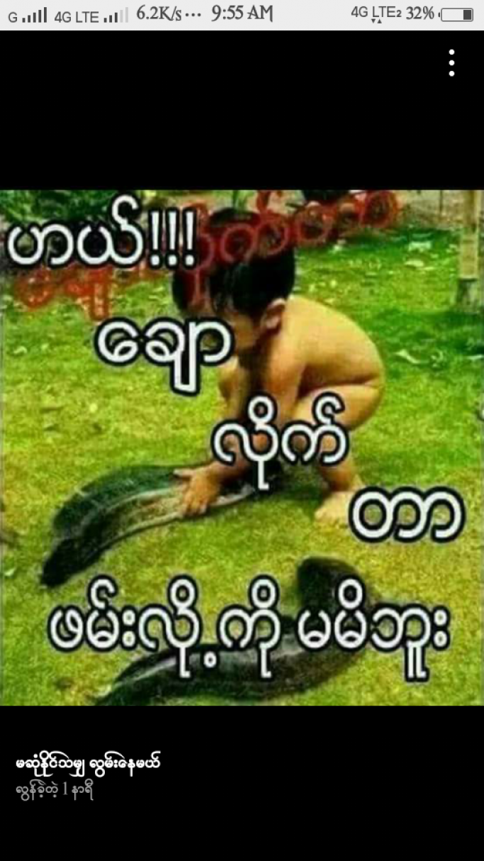 ကိုကိုသိန်း