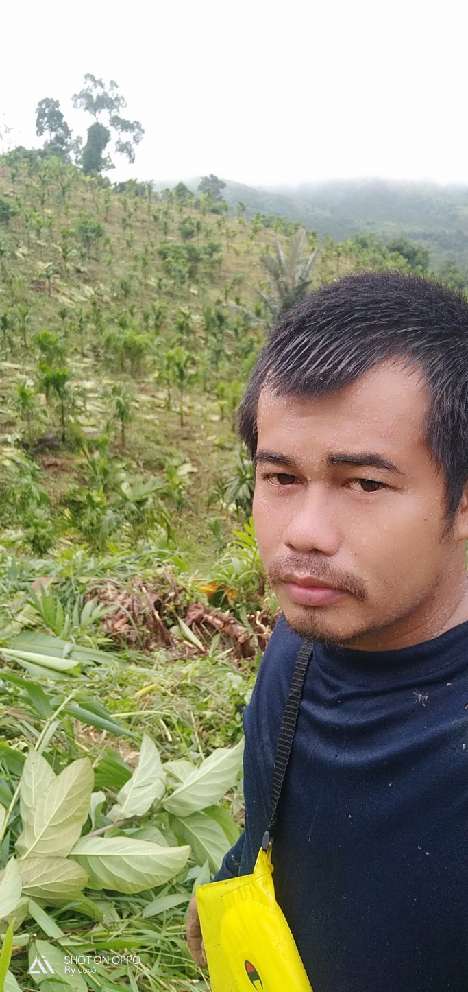 Wai Yan