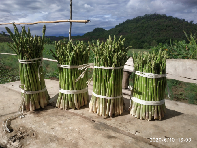 ခမ်းထီ