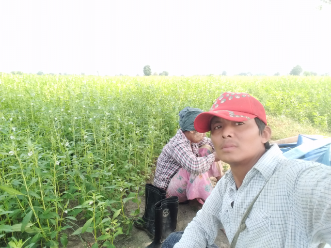 ဦးဇော်နိုင်လင်း