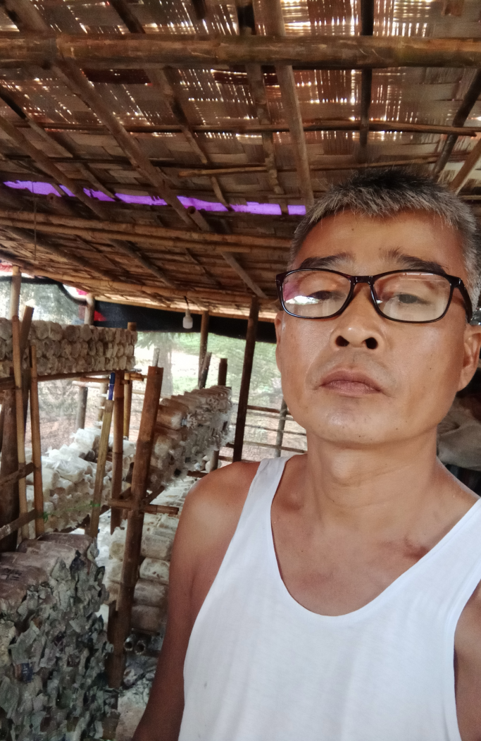 ဦးကိုကိုလွင်