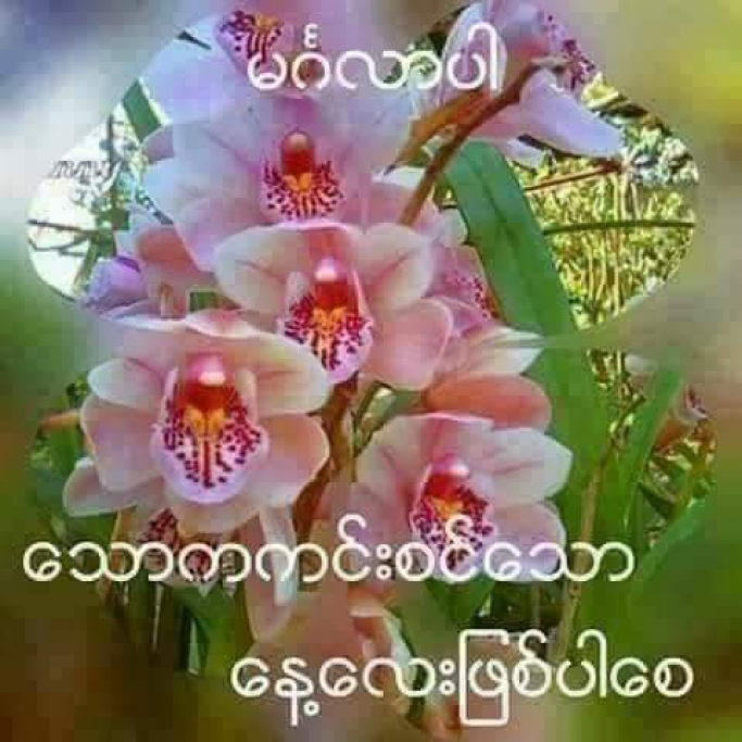 ဖြိုးဝေလင်း