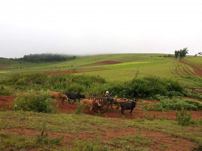 kokyehtoo