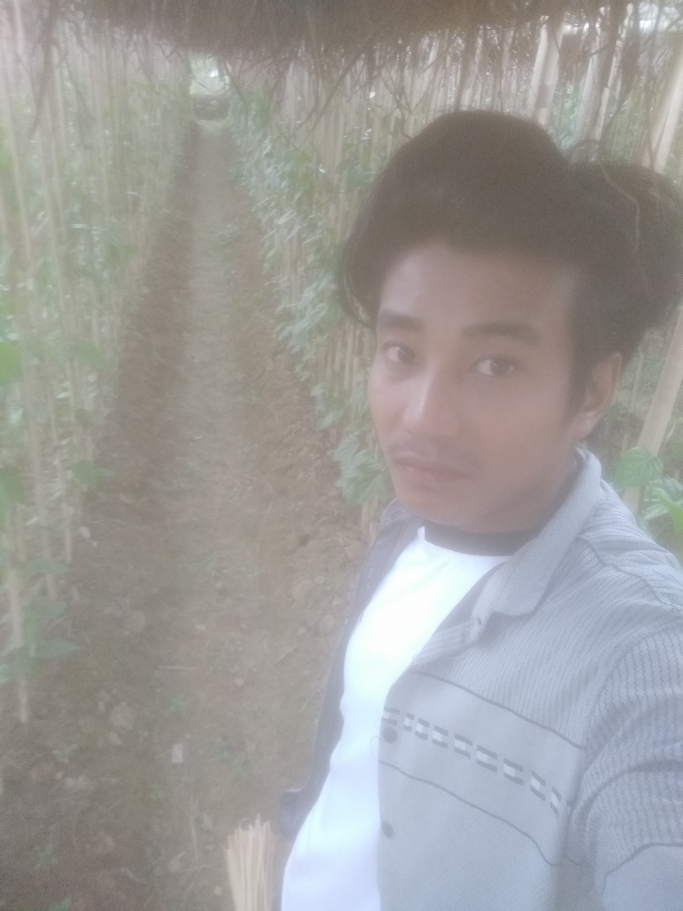 Thet phy phyo