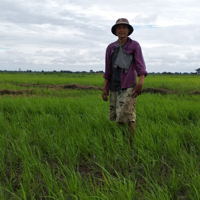 အောင်ကိုဦး