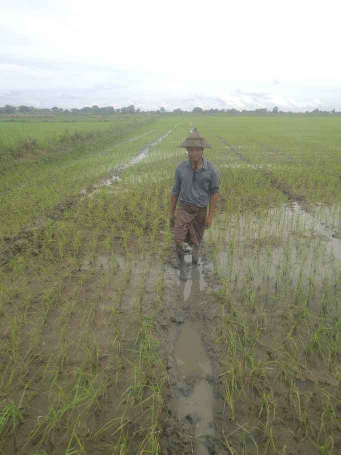 မောင်ကောင်းမြတ်
