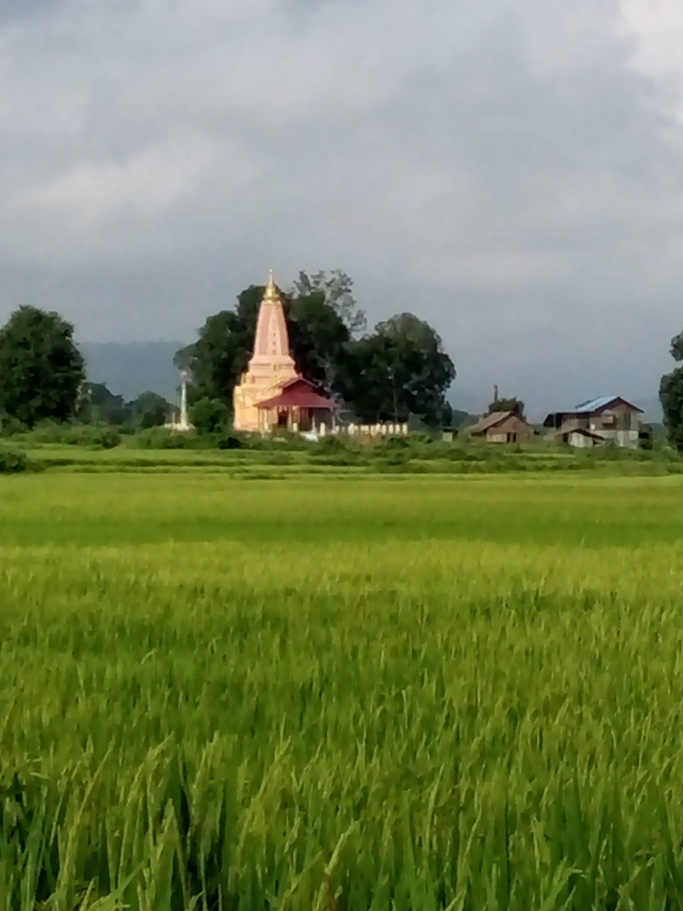 myo ko