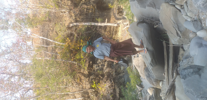 ဇော်နိုင်ဦး