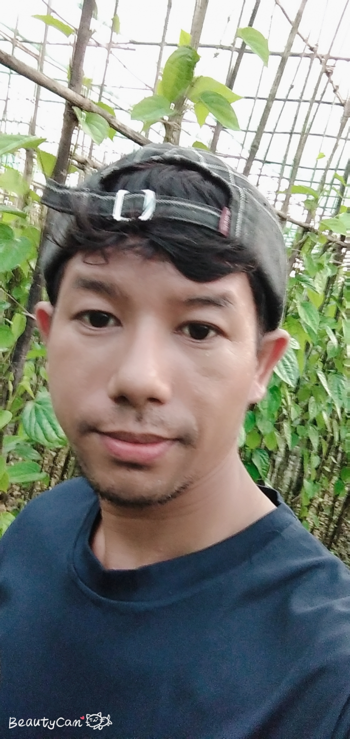 ဦးသီဟစိုး