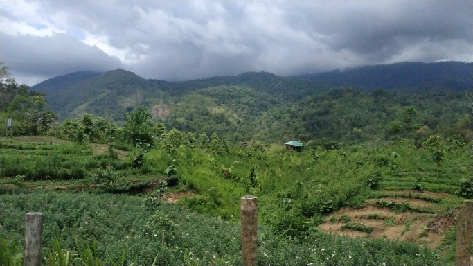 အောင်နိုင်ဝင်း