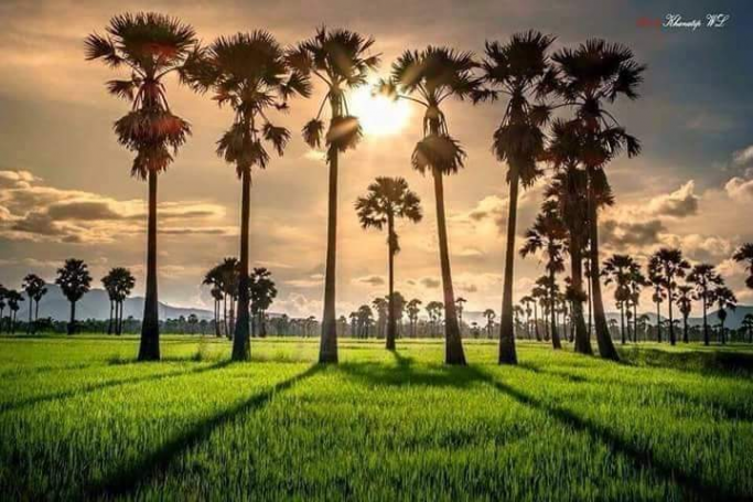 ဦးဖြိုးမင်းထွေး