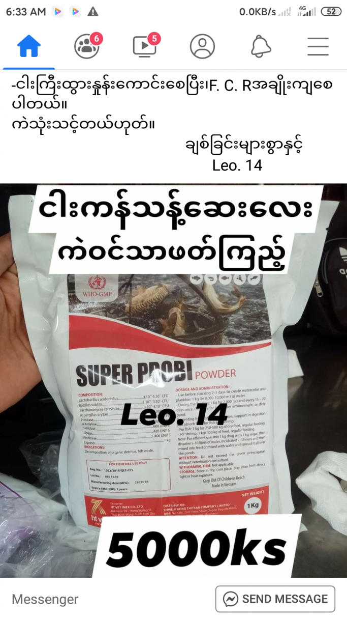 မျိုးနိုင်ဝင်း