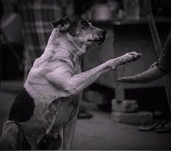 ဆရာတိန်