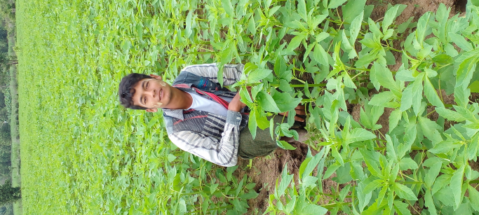 aung thu myo