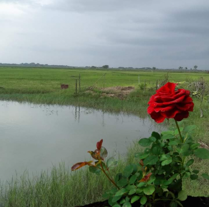 နေ