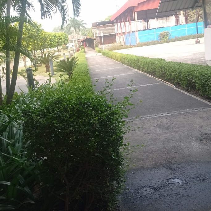 kyaw thet paing