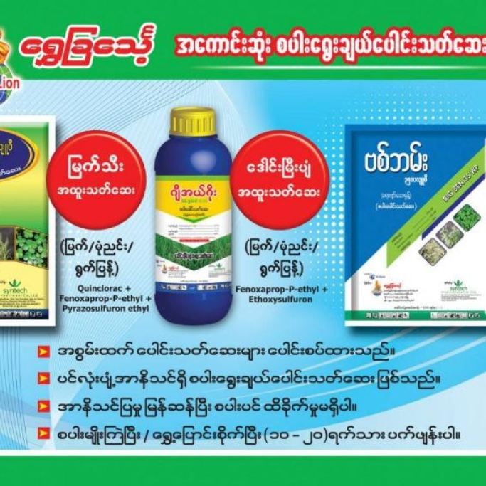 Mg Win Htet Aung