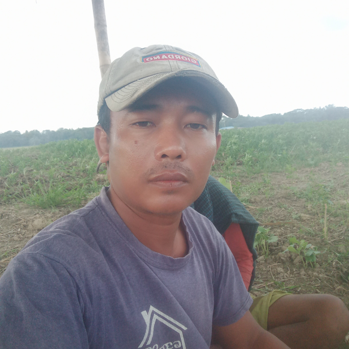 Wai Lynn Naing