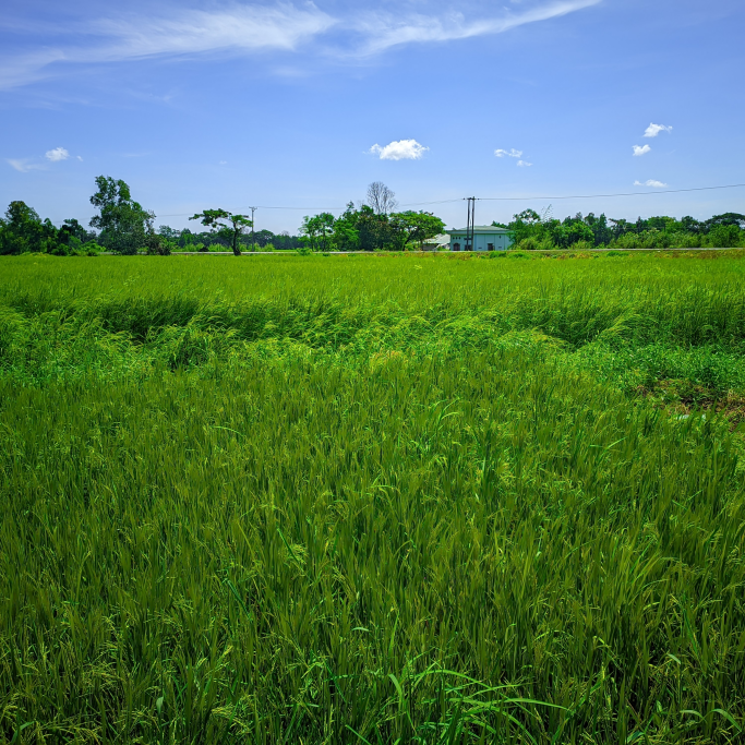 Mg Ye Min Htet