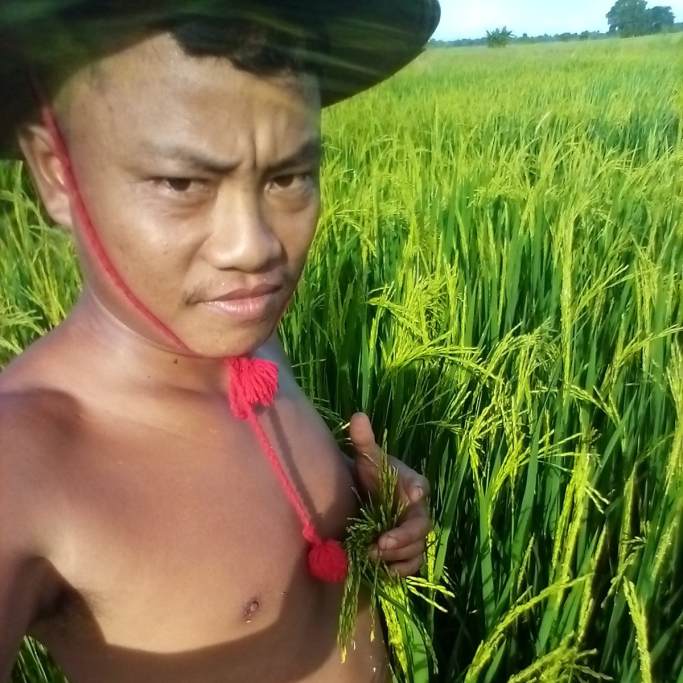 U Tin Myo Aung