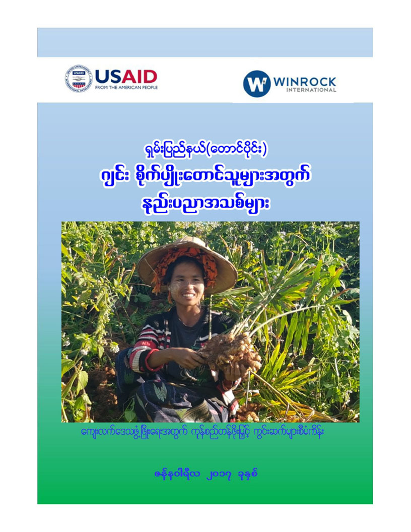 ရှမ်းပြည်နယ် ဂျင်းစိုက်ပျိုးသူများအတွက် နည်းပညာသစ်များ
