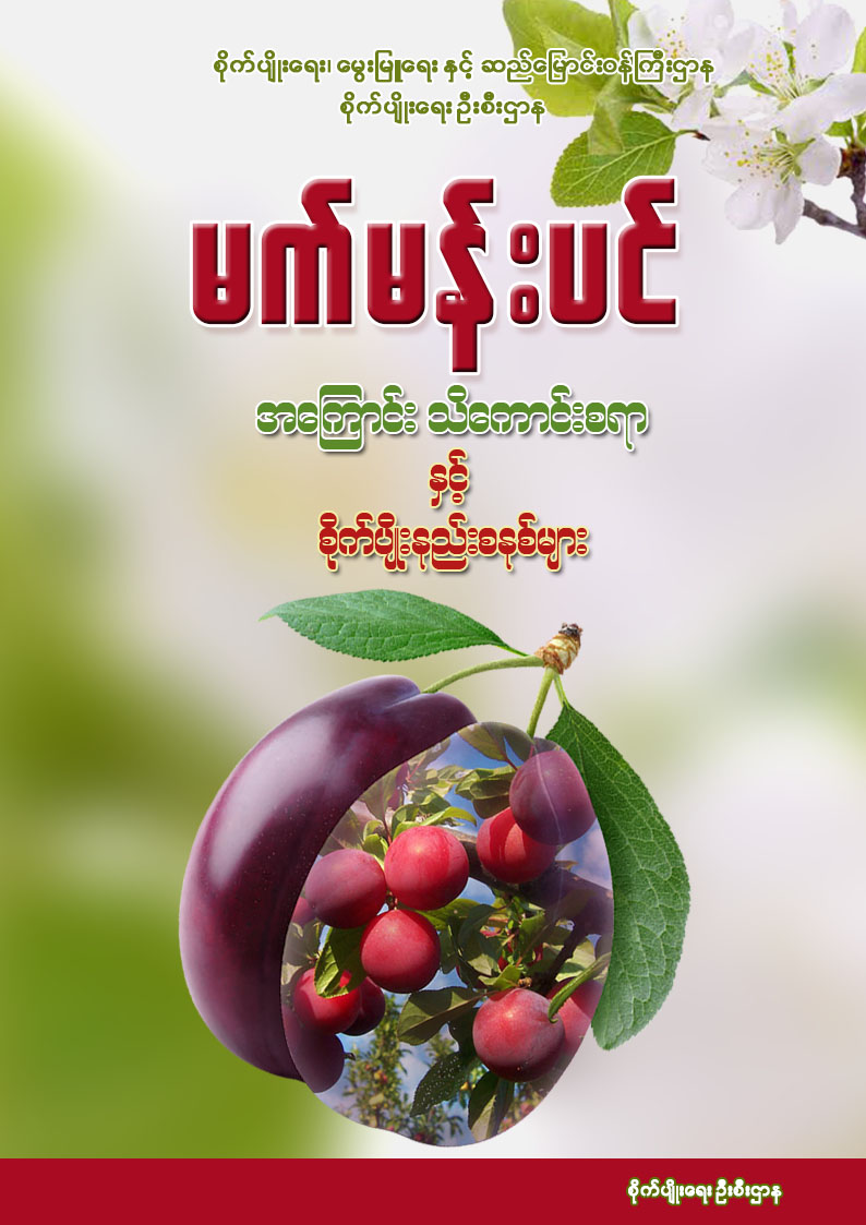 မက်မန်းပင် အကြောင်း သိကောင်းစရာနှင့် စိုက်ပျိုးနည်းစနစ်