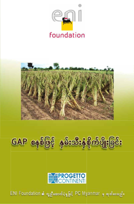 GAP စနစ်ဖြင့် နှမ်းသီးနှံစိုက်ပျိုးခြင်း