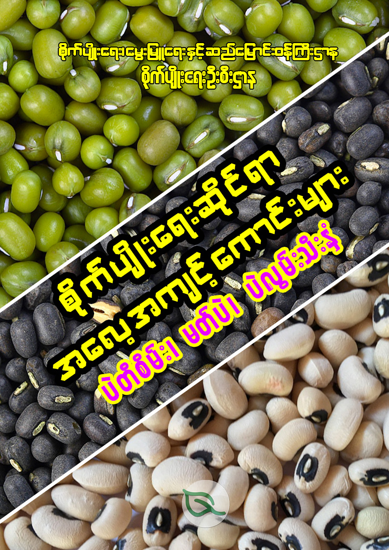 မတ်ပဲ၊ ပဲတီစိမ်း၊ ပဲလွန်းသီးနှံတို့၏ စိုက်ပျိုးရေးဆိုင်ရာ အလေ့အကျင့်ကောင်းများ