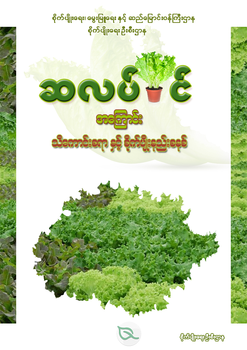 ဆလပ်ပင် အကြောင်း သိကောင်းစရာနှင့် စိုက်ပျိုးနည်းစနစ်