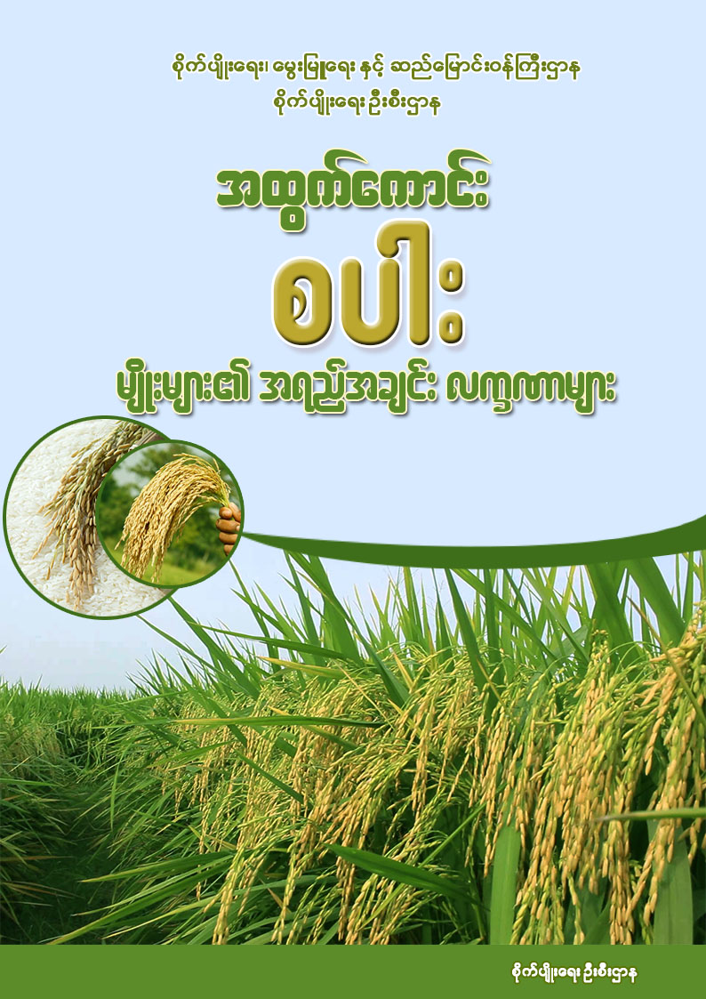အထွက်ကောင်း စပါးမျိုးများ၏ အရည်အချင်းလက္ခဏာများ
