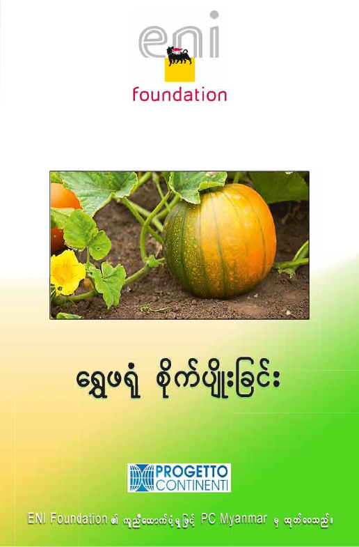ရွှေဖရုံသီး စိုက်ပျိုးခြင်း