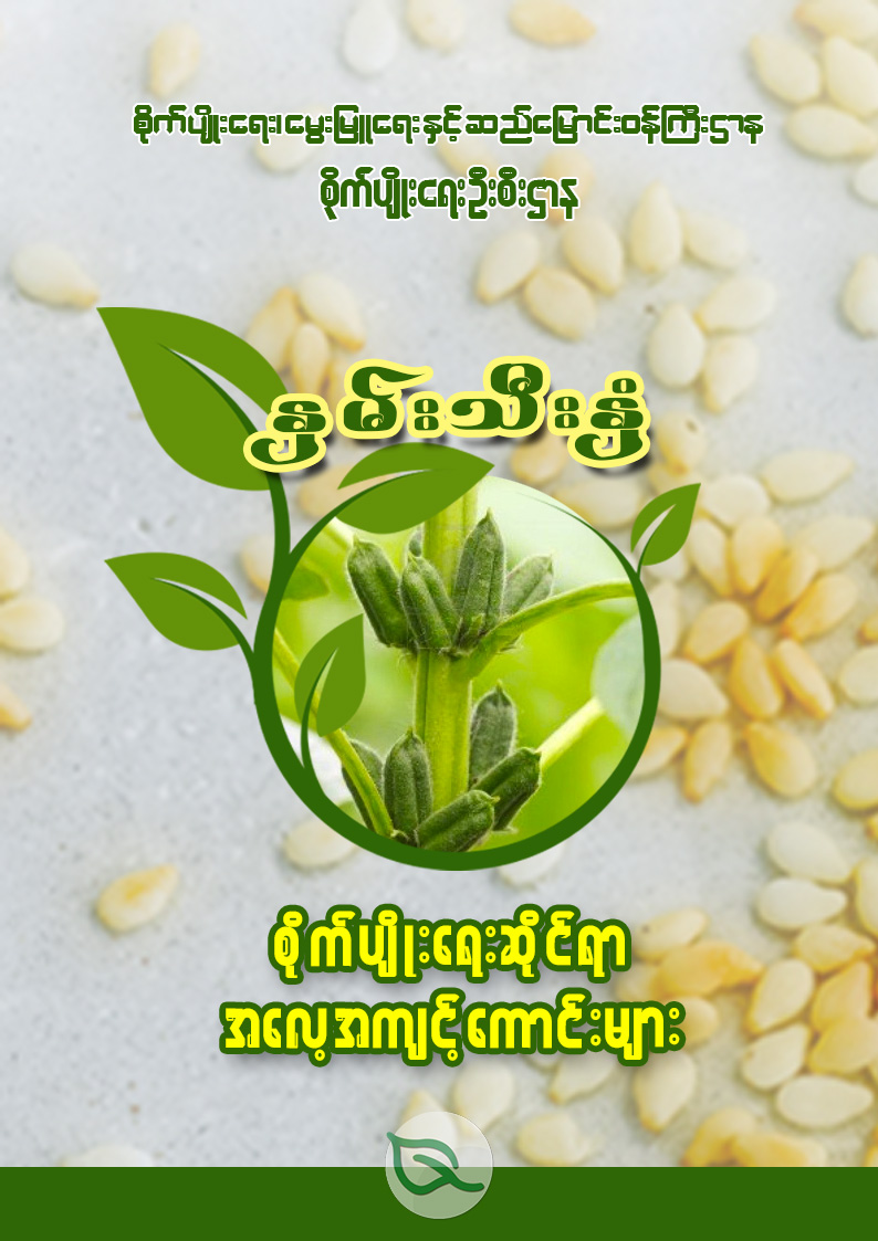 နှမ်းသီးနှံ စိုက်ပျိုးရေးဆိုင်ရာ အလေ့အကျင့်ကောင်းများ