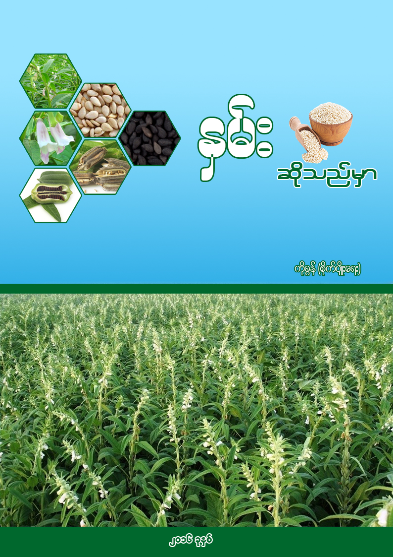 နှမ်းဆိုသည်မှာ