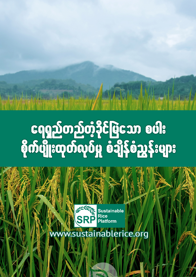 ရေရှည်တည်တံ့ခိုင်မြဲသော စပါးစိုက်ပျိုးထုတ်လုပ်မှု စံချိန်စံညွှန်းများ