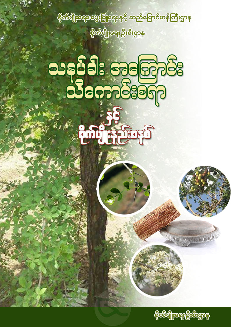 သနပ်ခါး အကြောင်း သိကောင်းစရာနှင့် စိုက်ပျိုးနည်းစနစ်