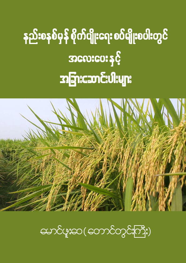 နည်းစနစ်မှန် စိုက်ပျိုးရေး စပ်မျိုးစပါးတွင် အလေးပေးနှင့် အခြားဆောင်းပါးများ