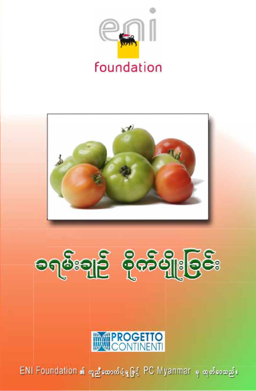 ခရမ်းချဉ်စိုက်ပျိုးခြင်း