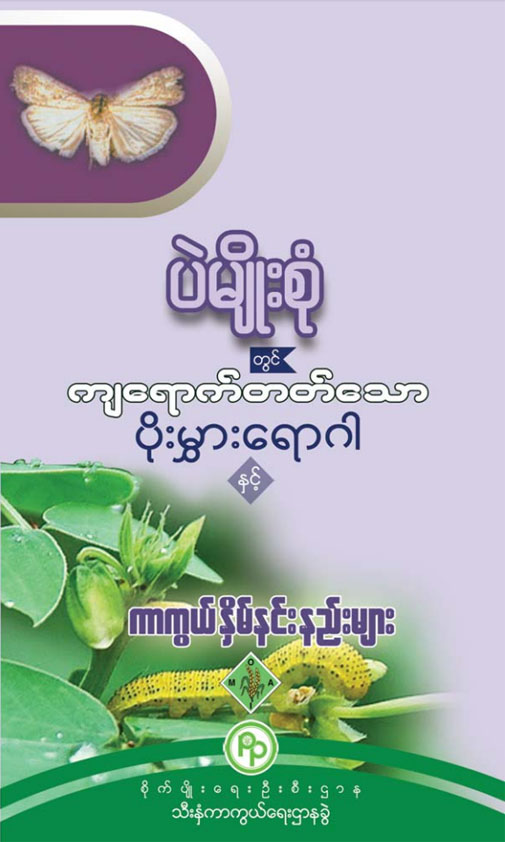 ပဲမျိုးစုံတွင် ကျရောက်တတ်သော ပိုးမွှား၊ ရောဂါနှင့် ကာကွယ်နှိမ်နင်းနည်းများ