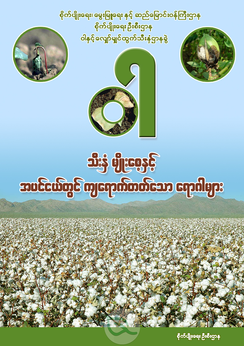 ဝါသီးနှံ မျိုးစေ့နှင့် အပင်ငယ်တွင် ကျရောက်တတ်သော ရောဂါများ