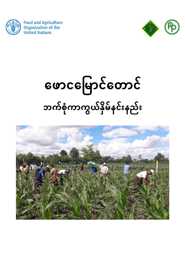 ဖောငမြောင်တောင် ဘက်စုံကာကွယ်နှိမ်နင်းနည်း
