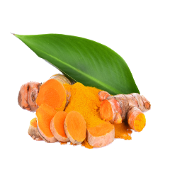 နနွင်း